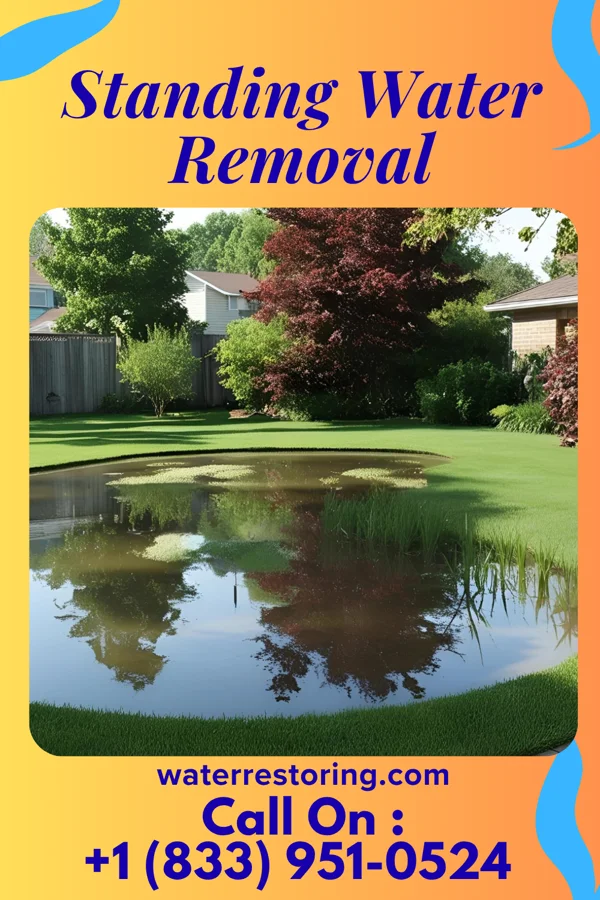 Standing Water Removal in Pine Mountain Lake, CA